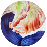 Wandbild III, Giant Bloom, Lim. 10, Ø 50 cm