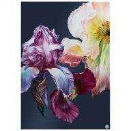 Wandbild, Giant Bloom - Iris und Mohn, Lim. 15, 75 x 51 cm