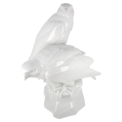 Vogelgruppe Falken, Weiß