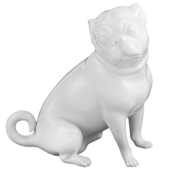 Hund Mops, ohne Schellen, sitzend, Weiß