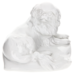 Hund Japan Chin auf Kissen, Weiß