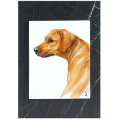 Wandbild, Mein Haustier, Hundeportrait, 30 x 21 cm