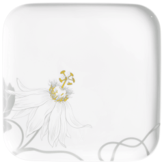 Vorspeise- und Dessertteller, Form "Nova", Passionsblume, 21 x 21 cm