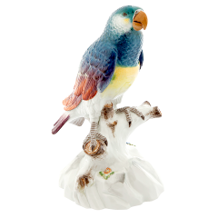 Vogel Papagei auf Felsen, Bunt staffiert