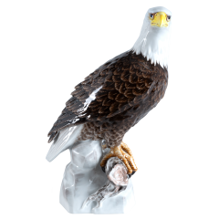 Vogel Weißkopfseeadler, Bunt staffiert, H 32 cm