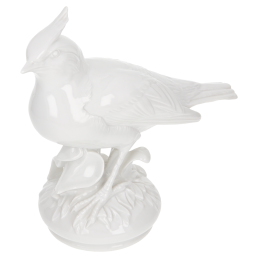 Vogel Haubenlerche, Weiß