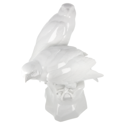 Vogelgruppe Falken, Weiß