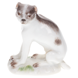 Hund, Bunt staffiert