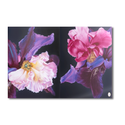 Wandbild Blühende Nacht, Lim., 70 x 100 cm